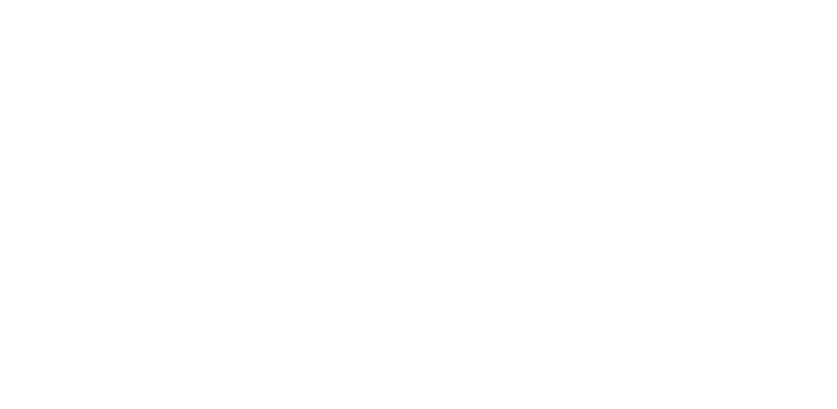 Dalu Solar Logo